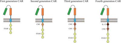 Potential of Stem Cells and CART as a Potential Polytherapy for Small Cell Lung Cancer